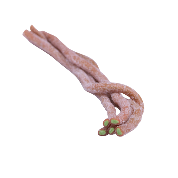 Kleiner Meter Saurer Rhabarber - 50cm